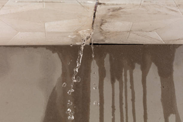Professional Structural Drying technician working in Deer Lodge, TN
